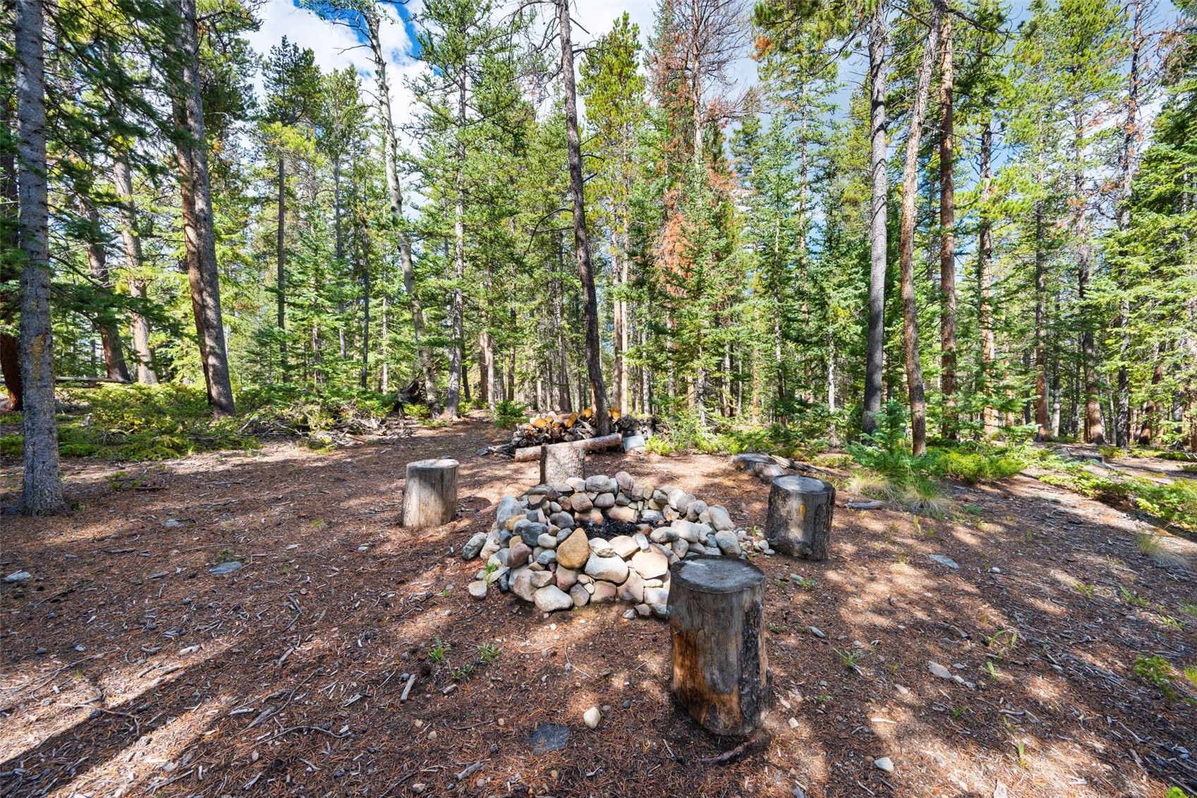 422 Rollies Trail Fairplay CO 80440