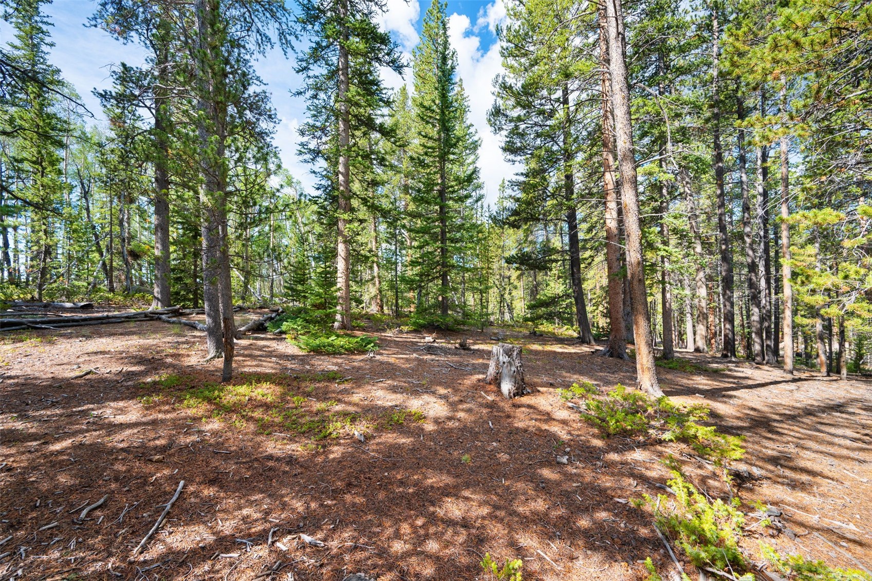422 Rollies Trail Fairplay CO 80440