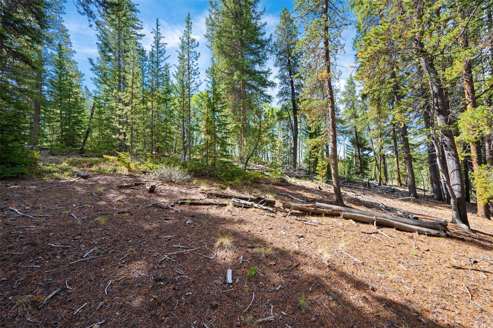 422 Rollies Trail Fairplay CO 80440