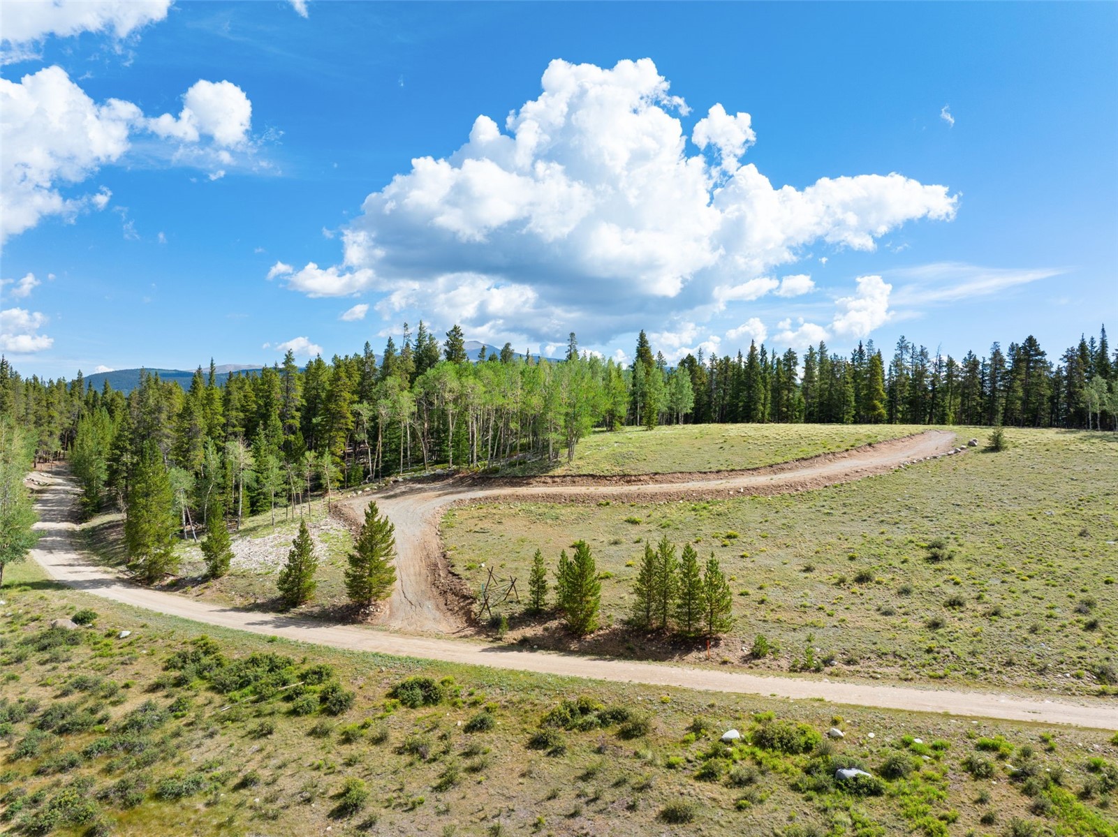 422 Rollies Trail Fairplay CO 80440