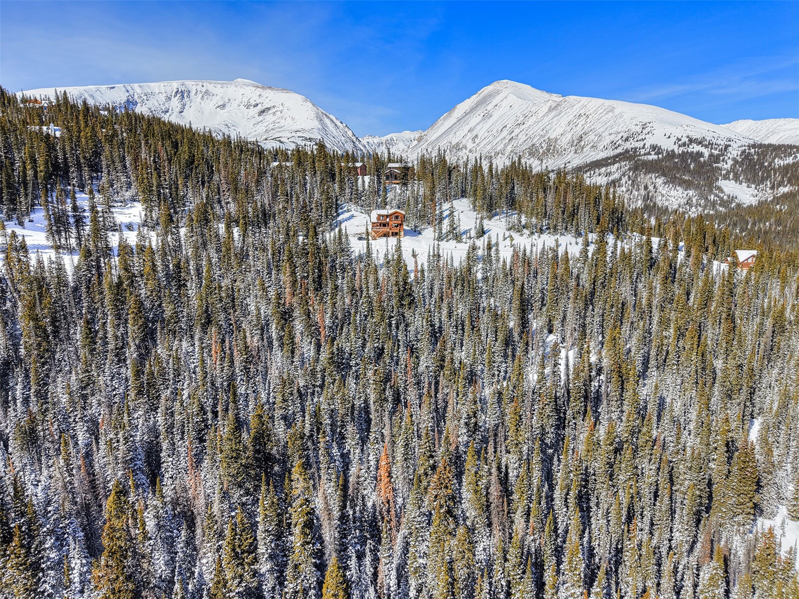 504 Carroll Lane Breckenridge CO 80424