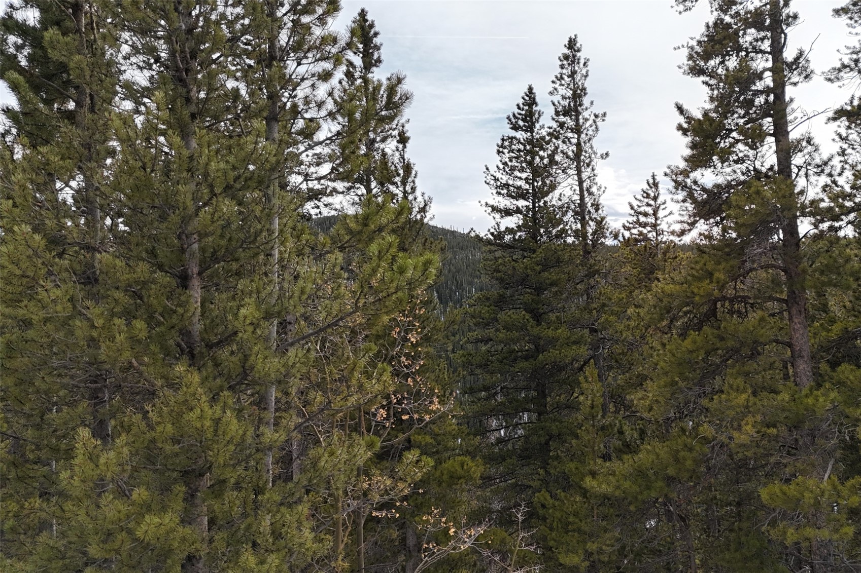 649 Vista Road Idaho Springs CO 80452