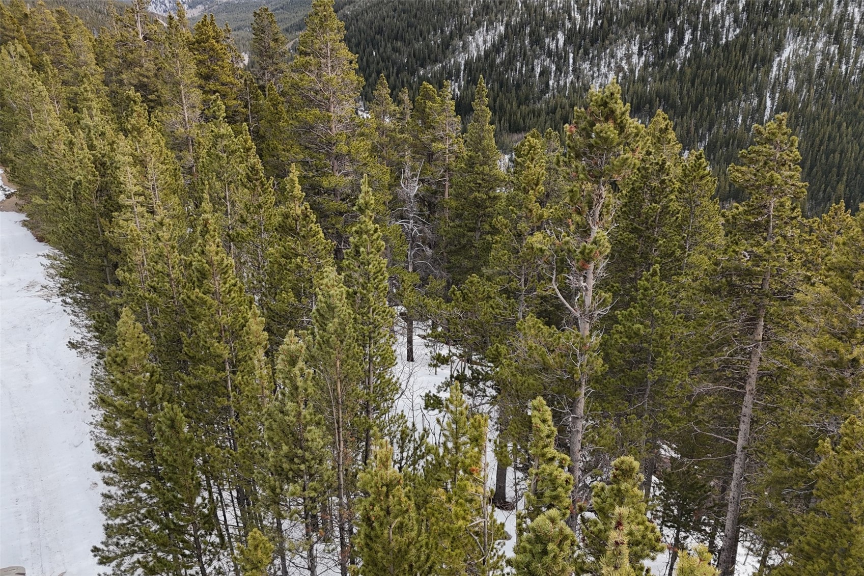 649 Vista Road Idaho Springs CO 80452