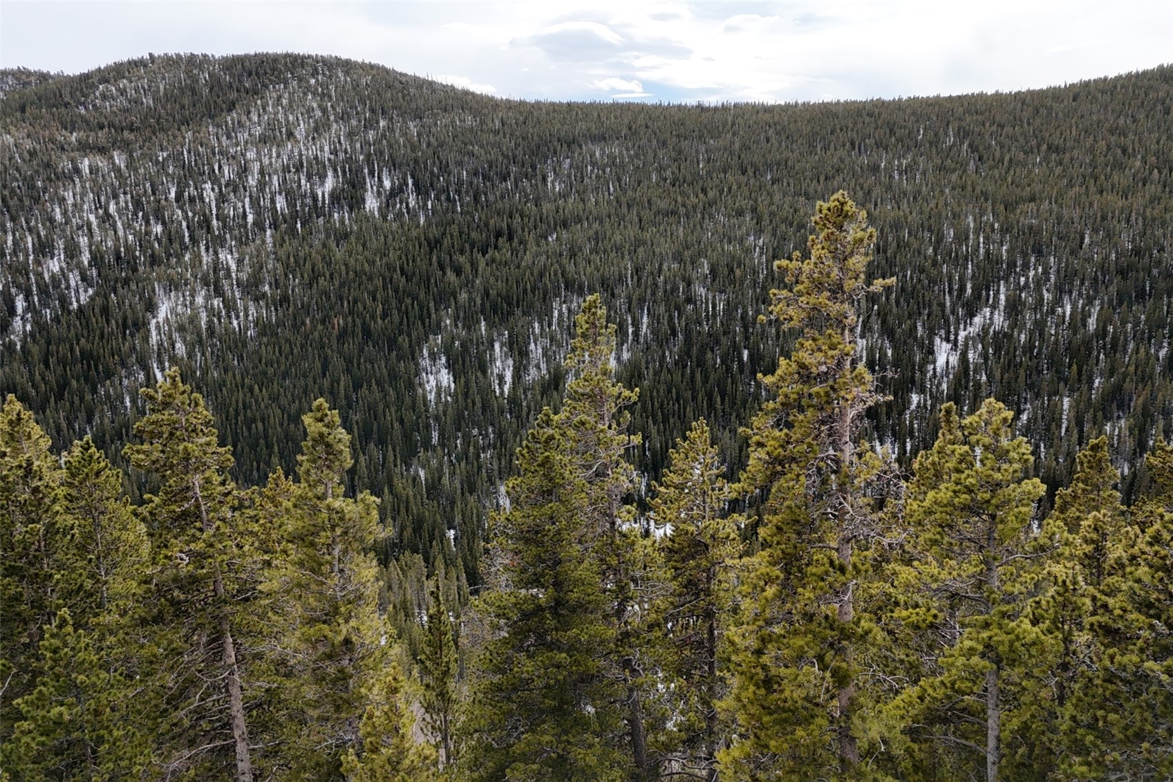 649 Vista Road Idaho Springs CO 80452