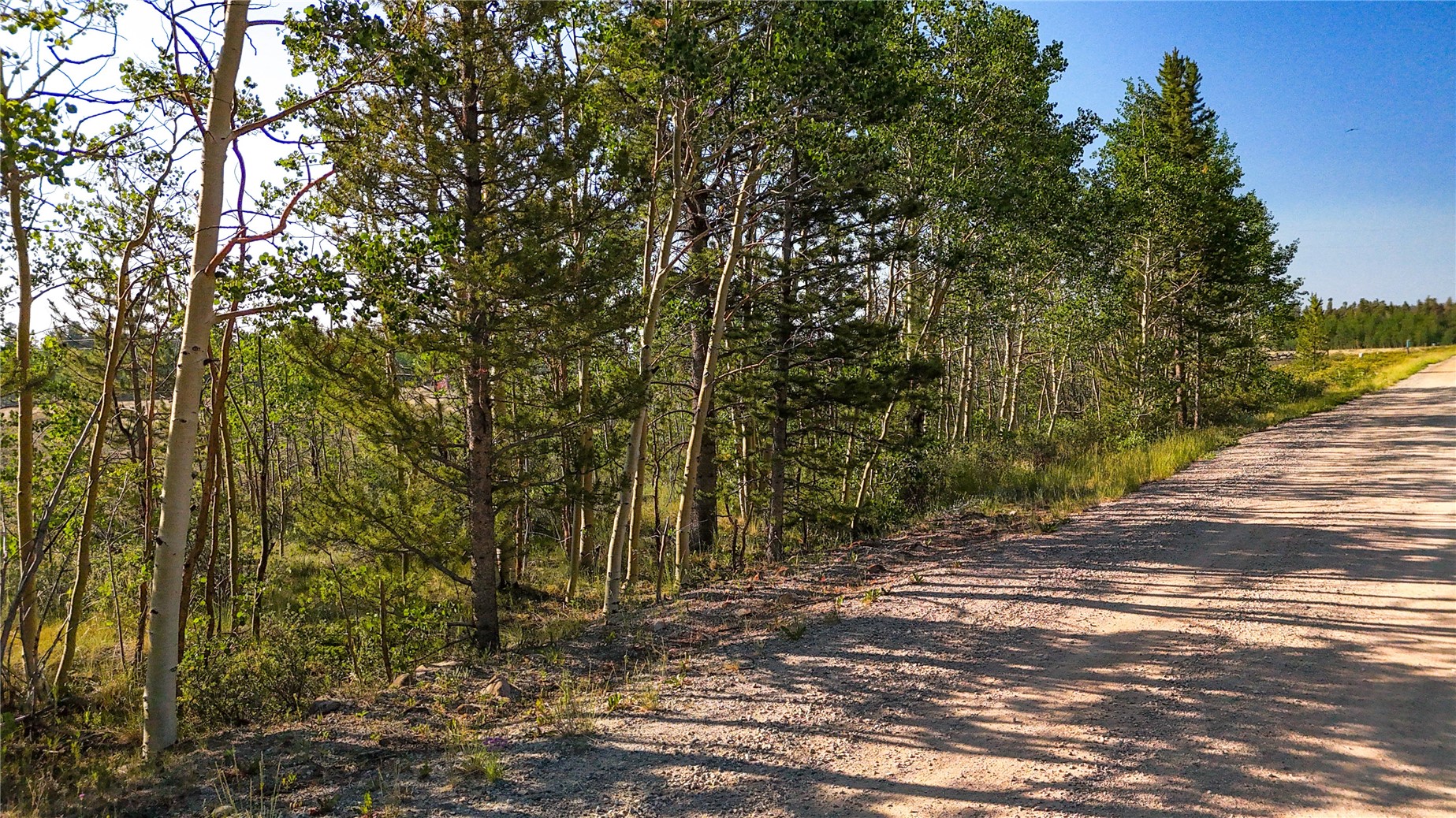 Tbd Bluestem Way Fairplay CO 80440