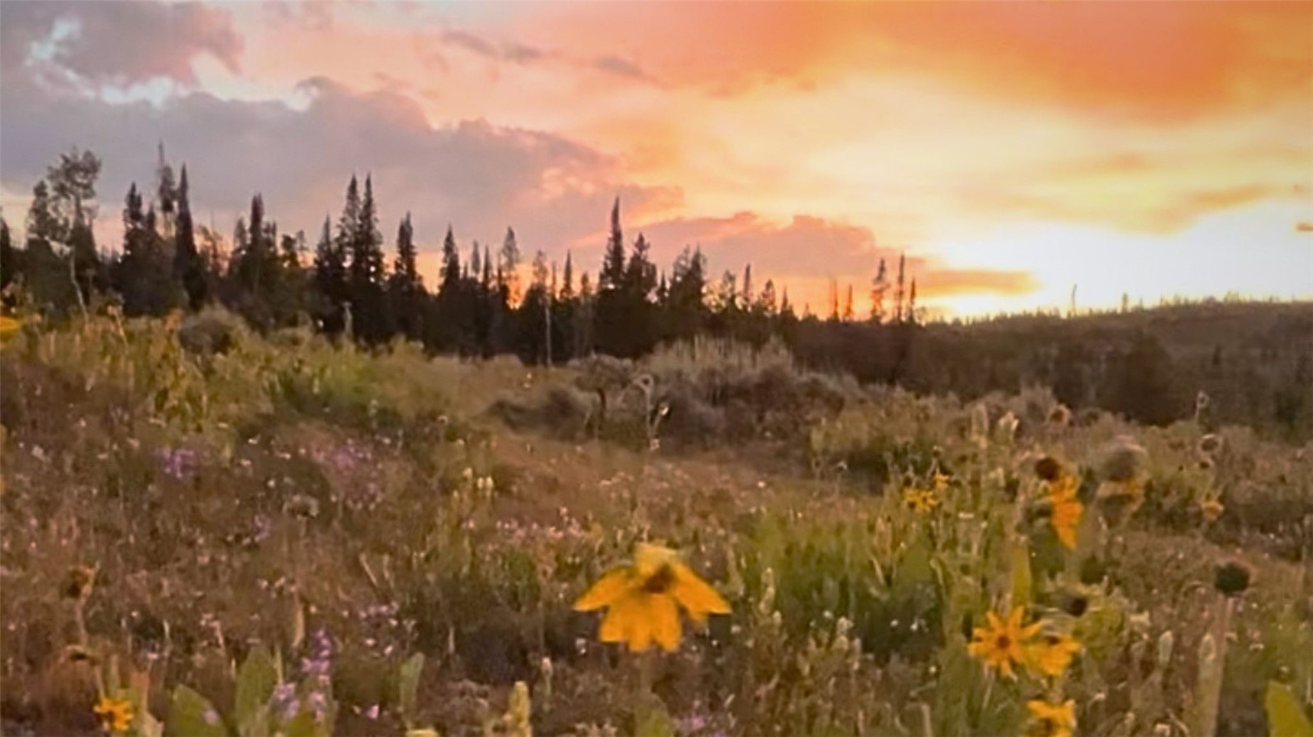 Lot Ar Spring Creek Ranch Road Silverthorne CO 80498