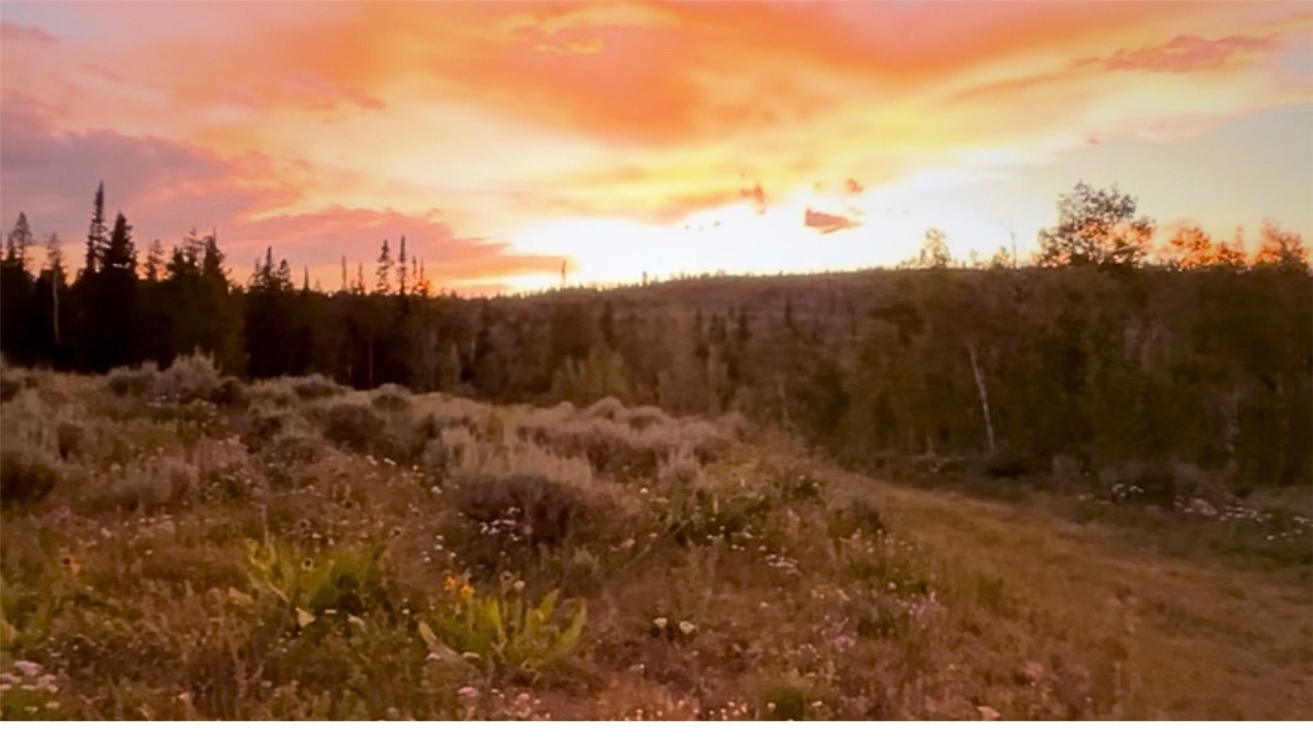 Lot Ar Spring Creek Ranch Road Silverthorne CO 80498
