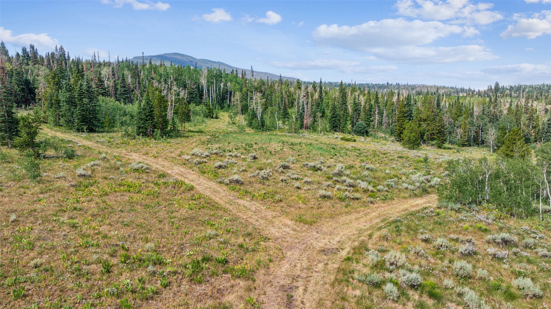 Lot Ar Spring Creek Ranch Road Silverthorne CO 80498