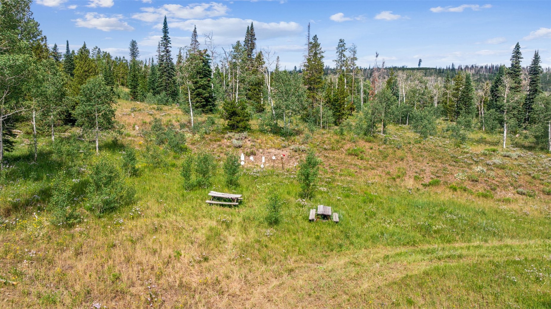 Lot Ar Spring Creek Ranch Road Silverthorne CO 80498