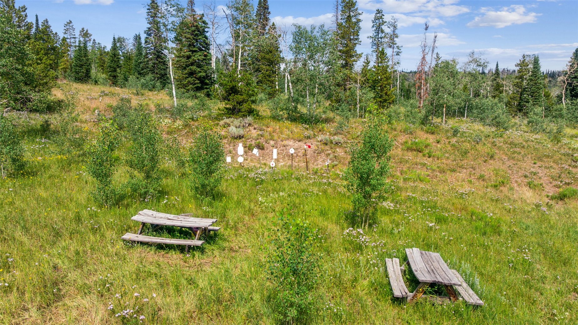 Lot Ar Spring Creek Ranch Road Silverthorne CO 80498