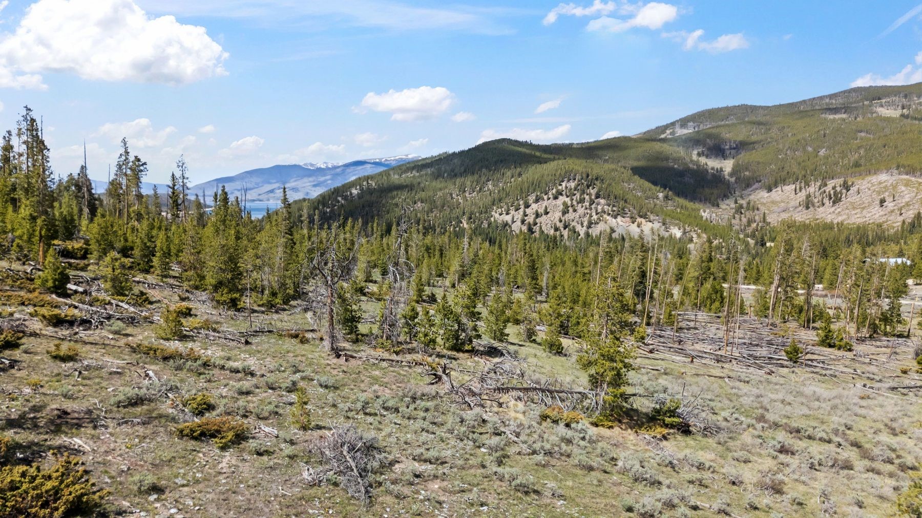 465 Gateway Drive Breckenridge CO 80424