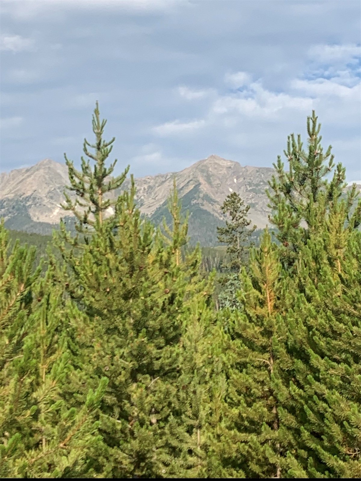 465 Gateway Drive Breckenridge CO 80424