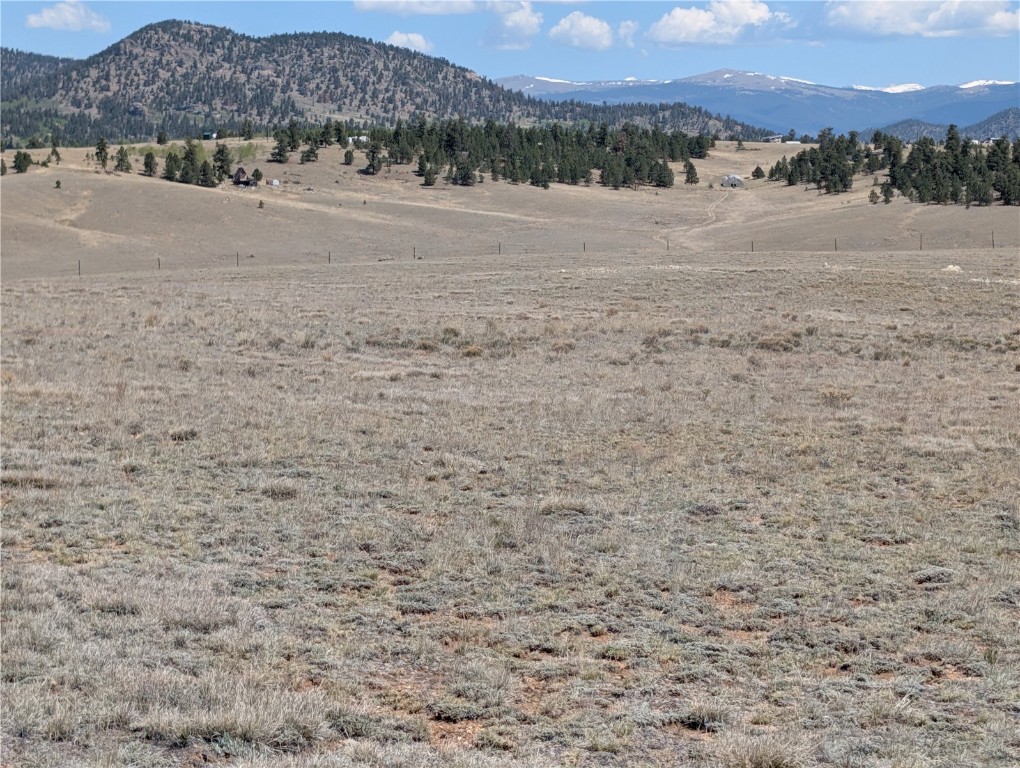 412 Andesite Way Hartsel CO 80456
