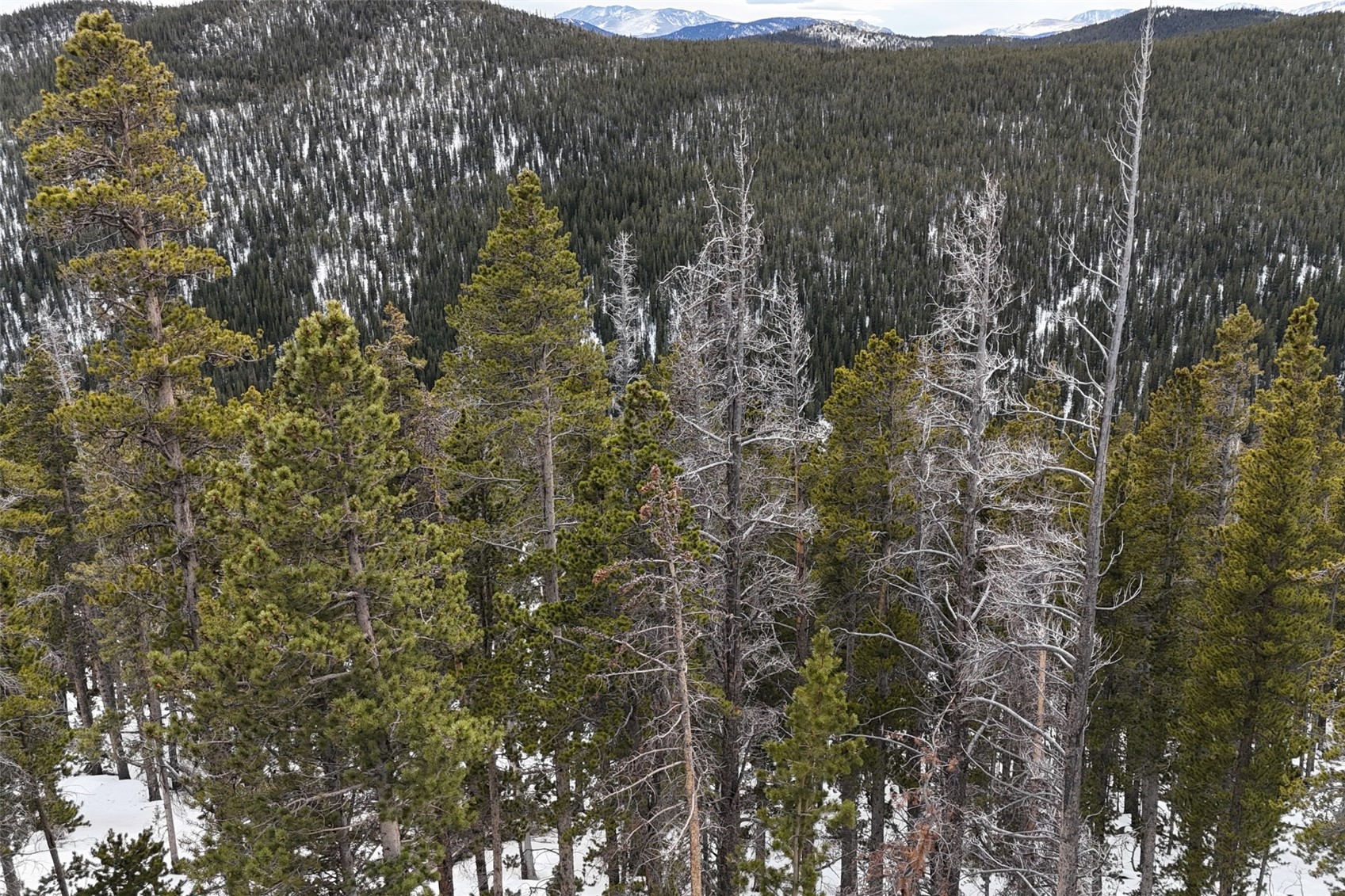 156 Vista Road Idaho Springs CO 80452