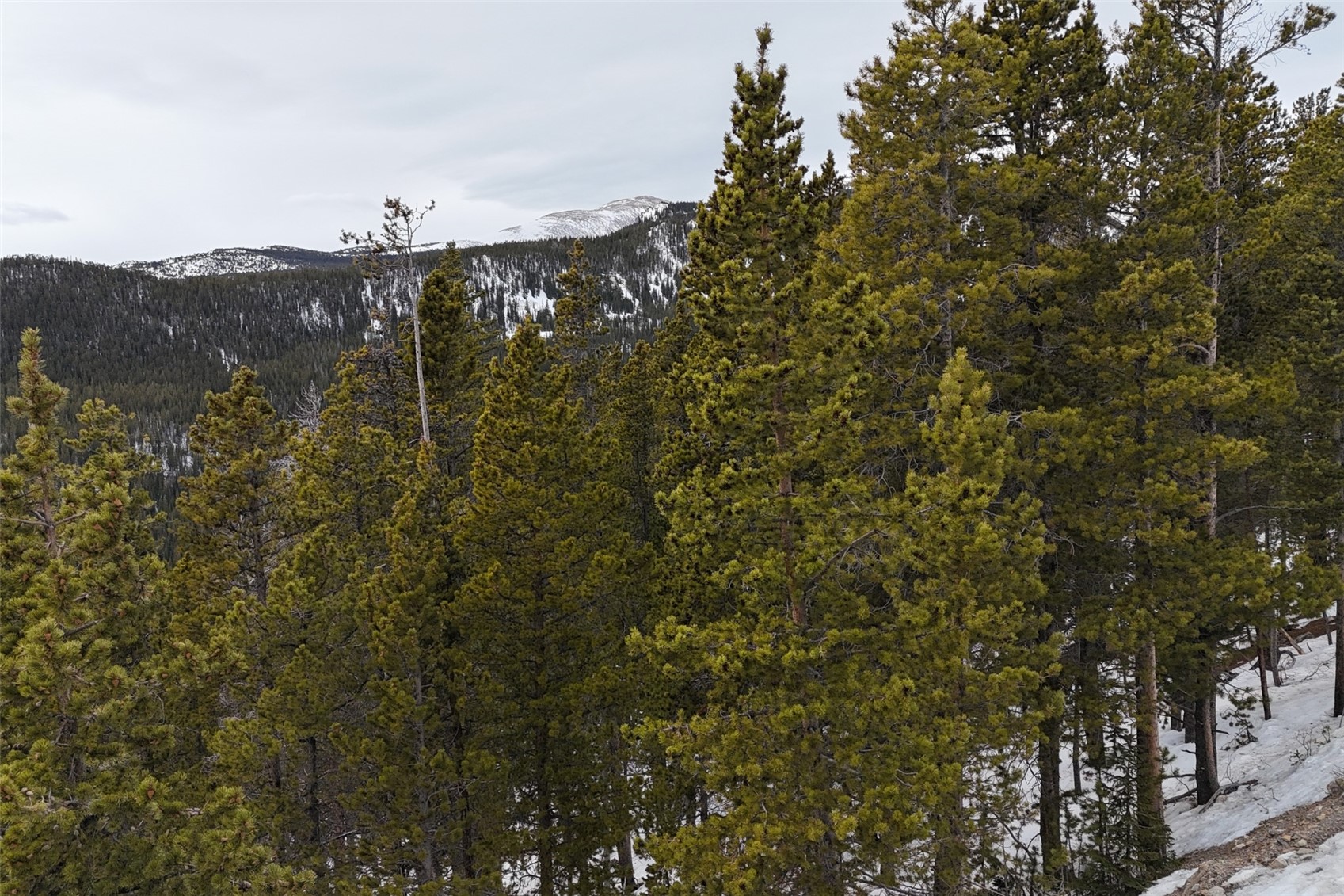 156 Vista Road Idaho Springs CO 80452