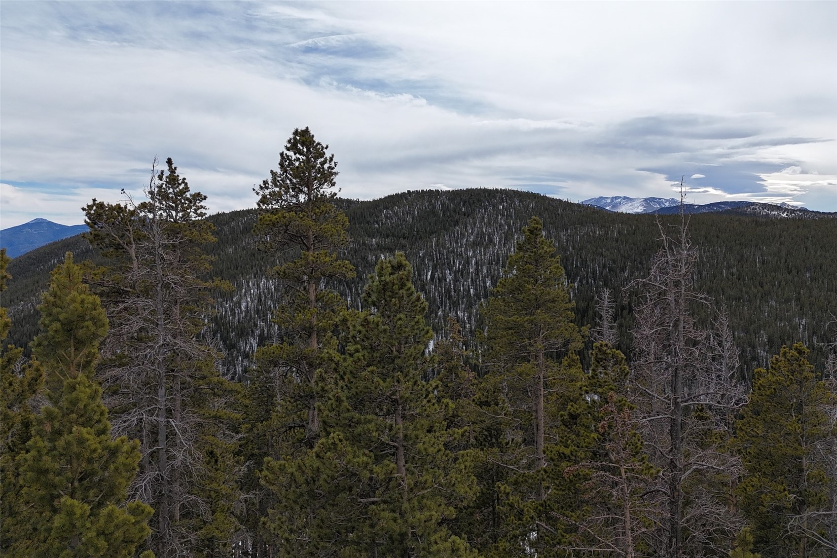 156 Vista Road Idaho Springs CO 80452