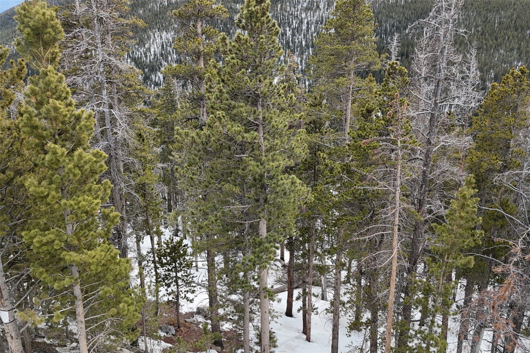 156 Vista Road Idaho Springs CO 80452