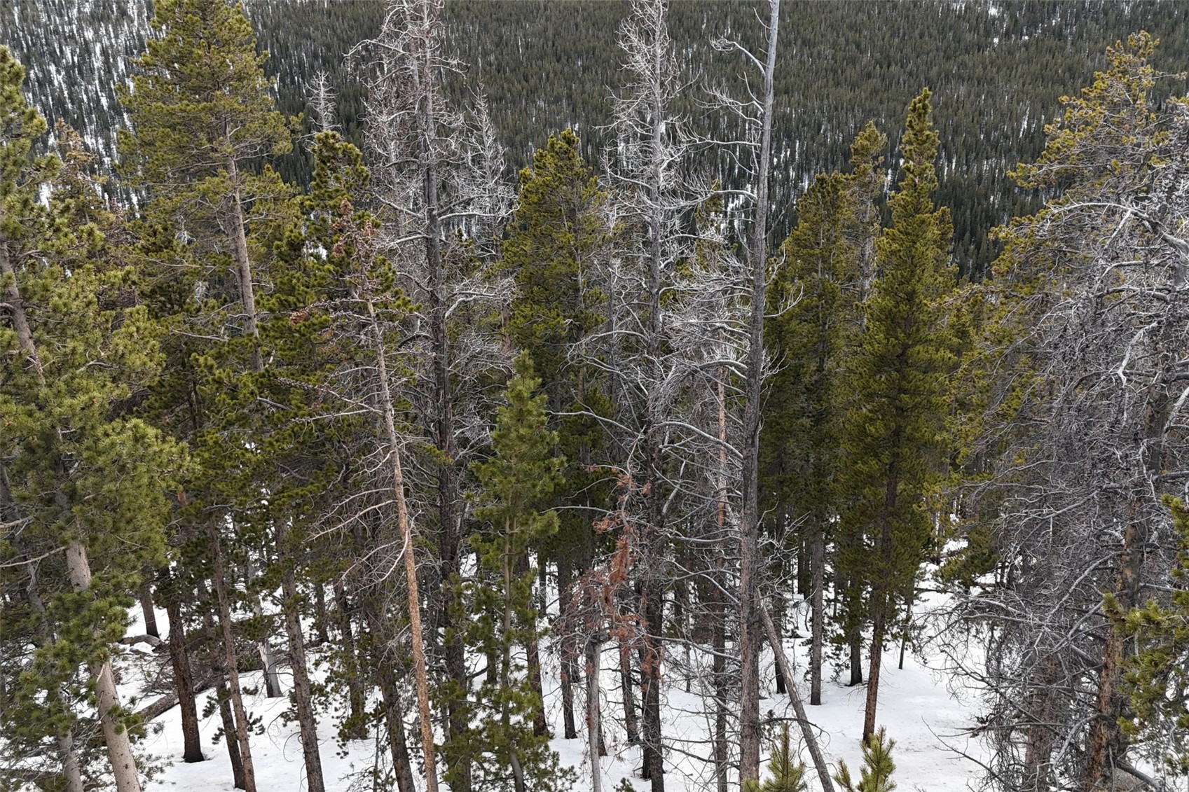 156 Vista Road Idaho Springs CO 80452