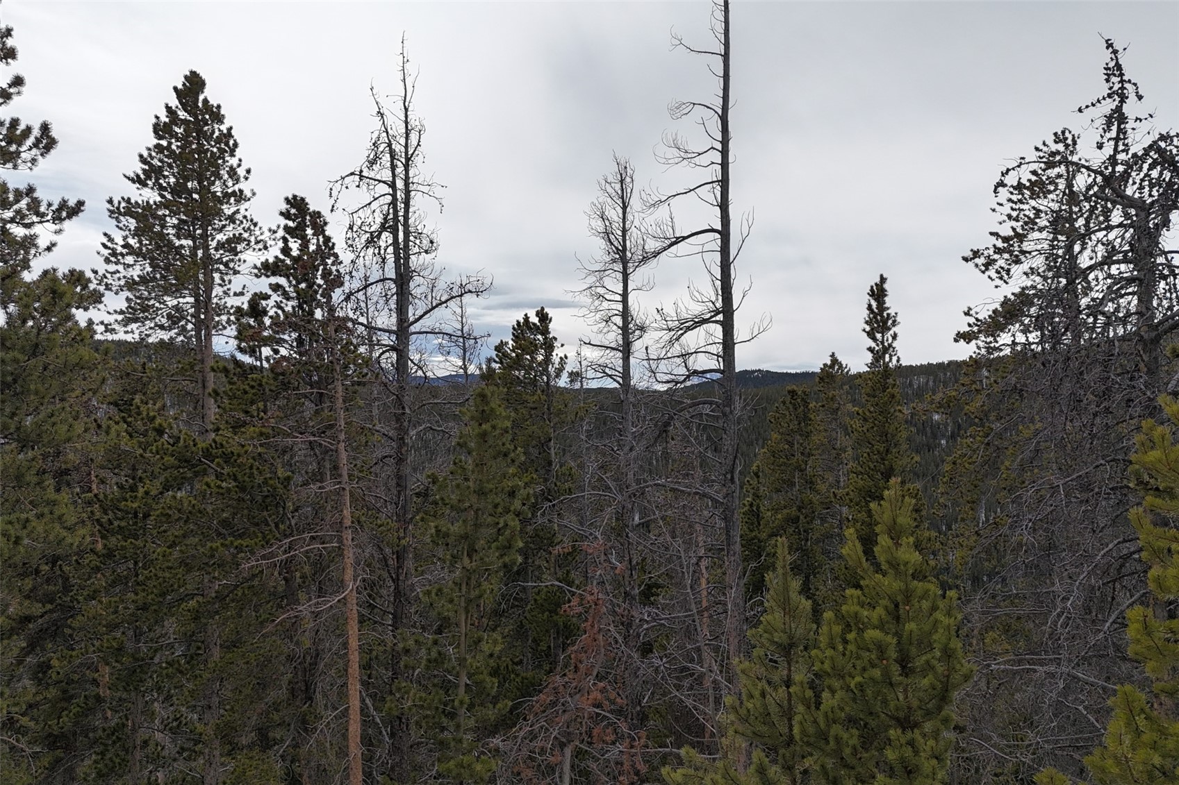156 Vista Road Idaho Springs CO 80452