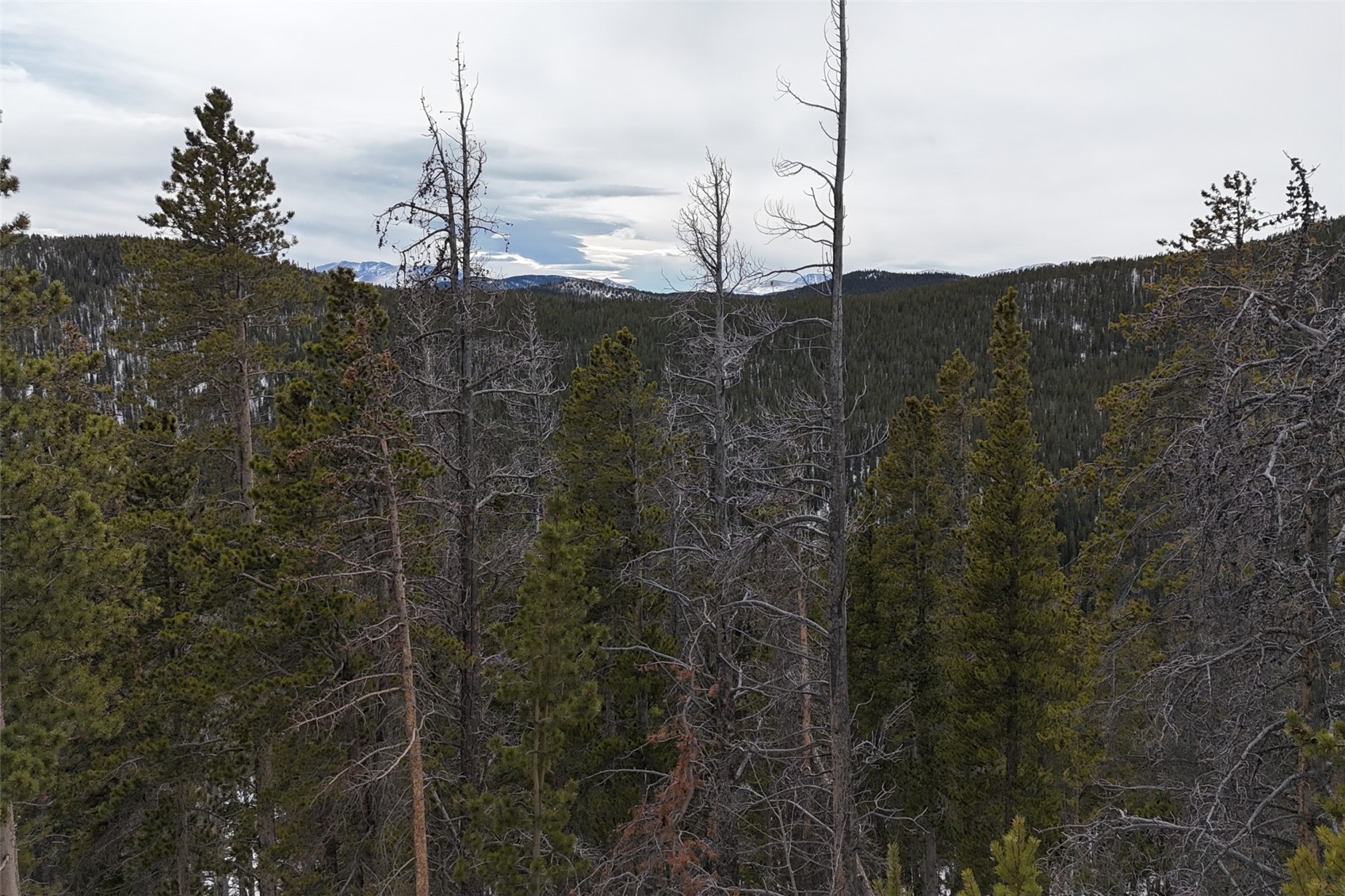 156 Vista Road Idaho Springs CO 80452