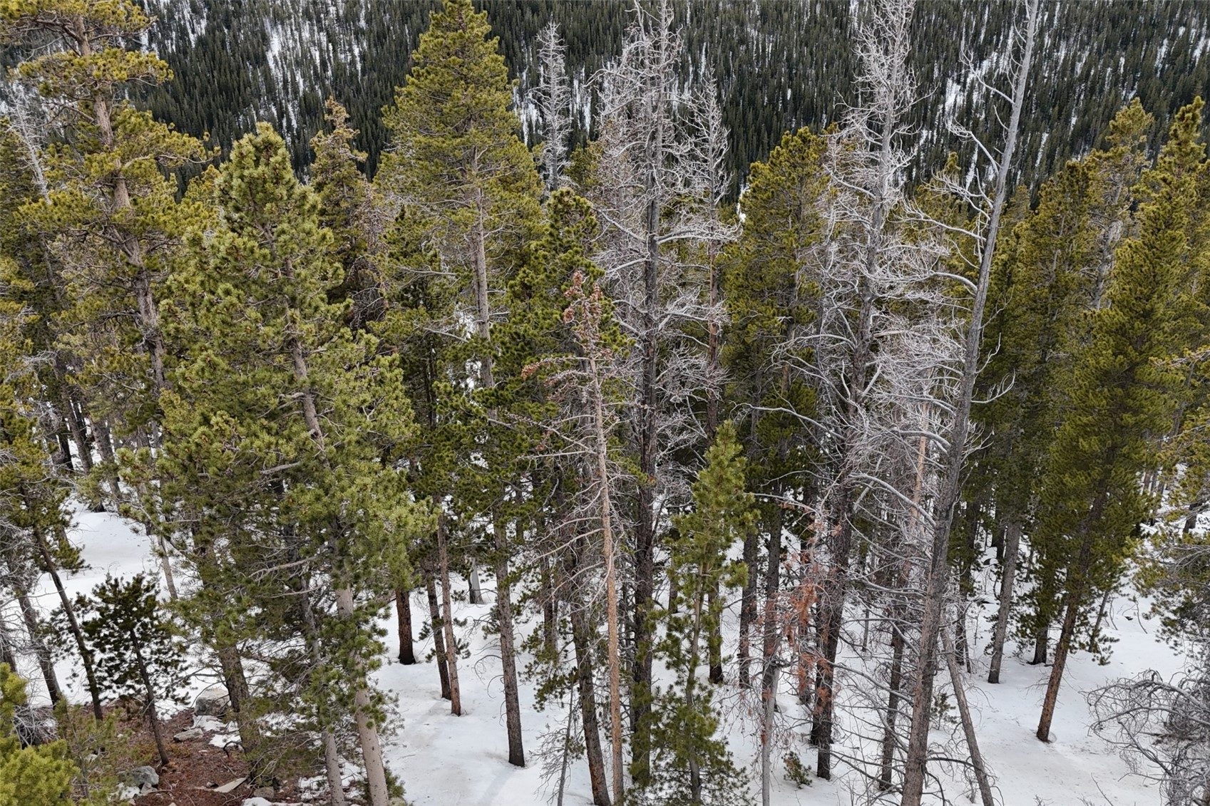 156 Vista Road Idaho Springs CO 80452