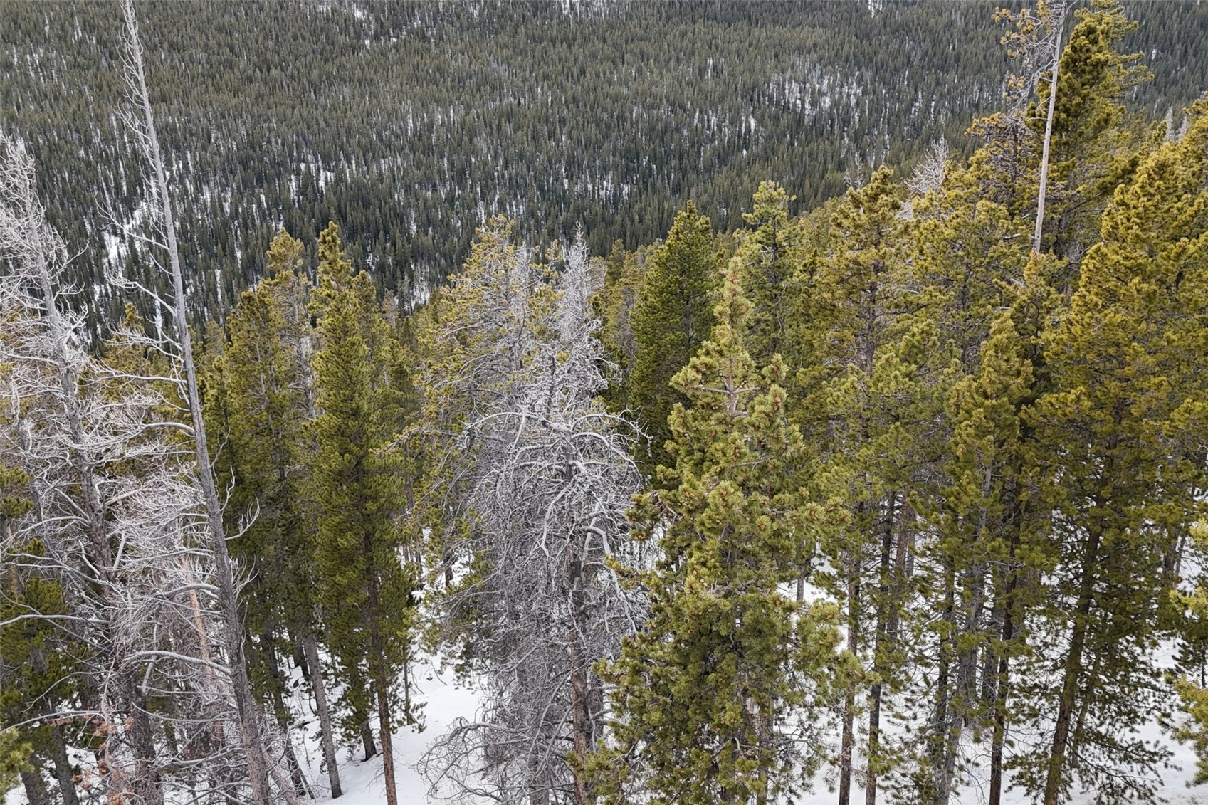 156 Vista Road Idaho Springs CO 80452