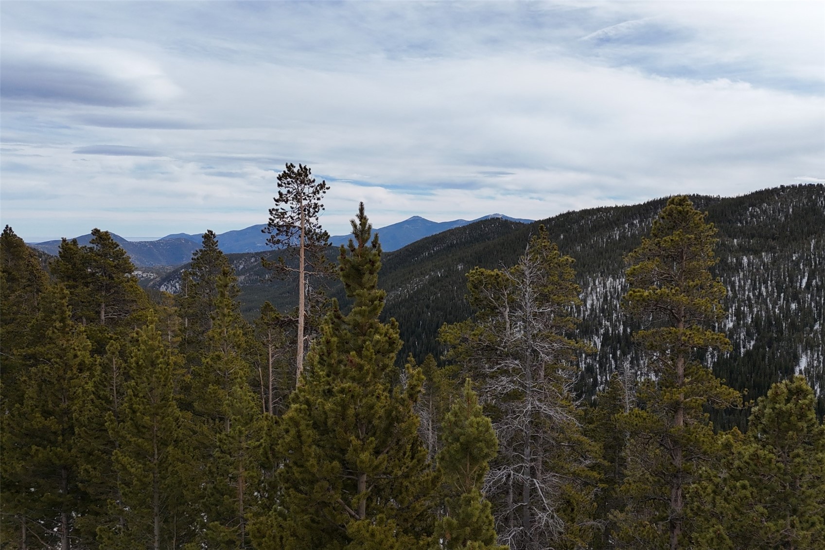 156 Vista Road Idaho Springs CO 80452