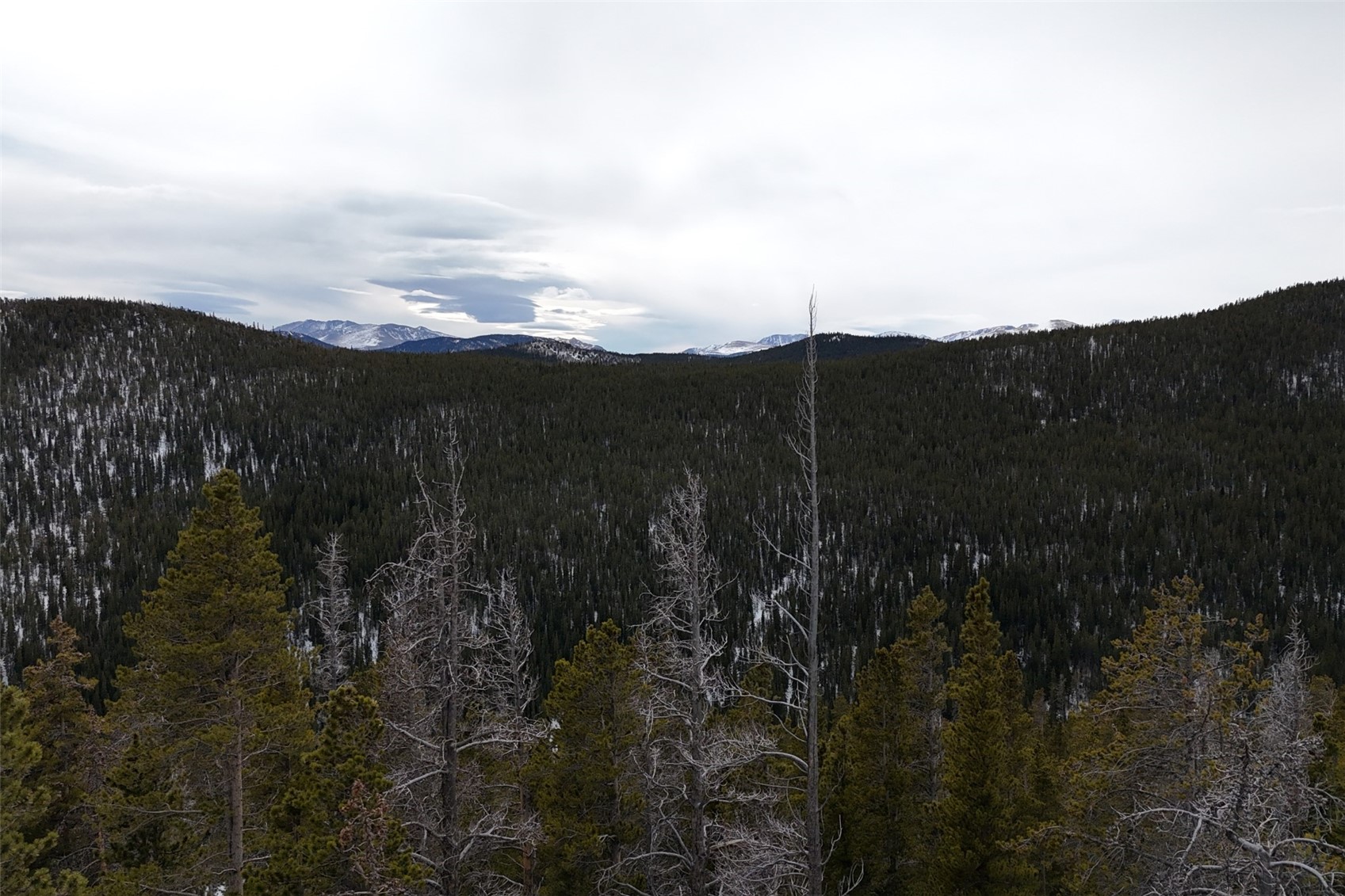 156 Vista Road Idaho Springs CO 80452