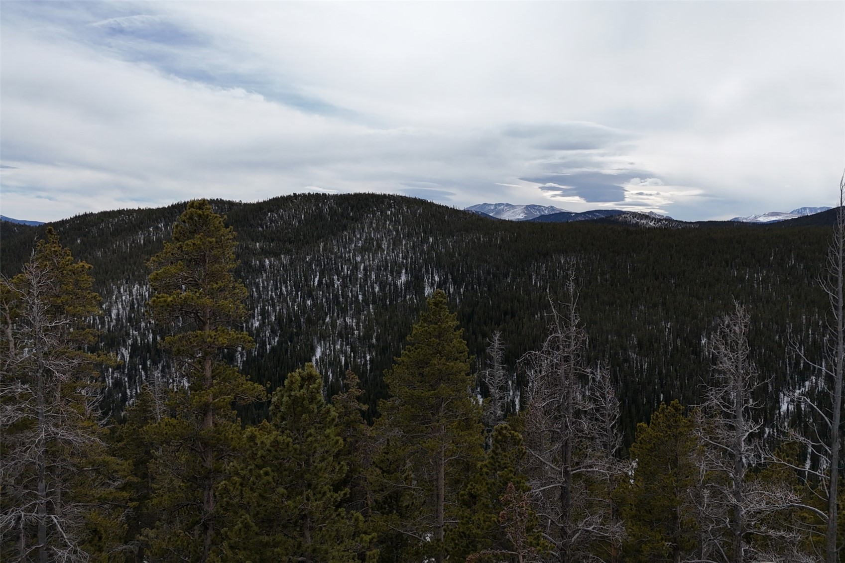156 Vista Road Idaho Springs CO 80452