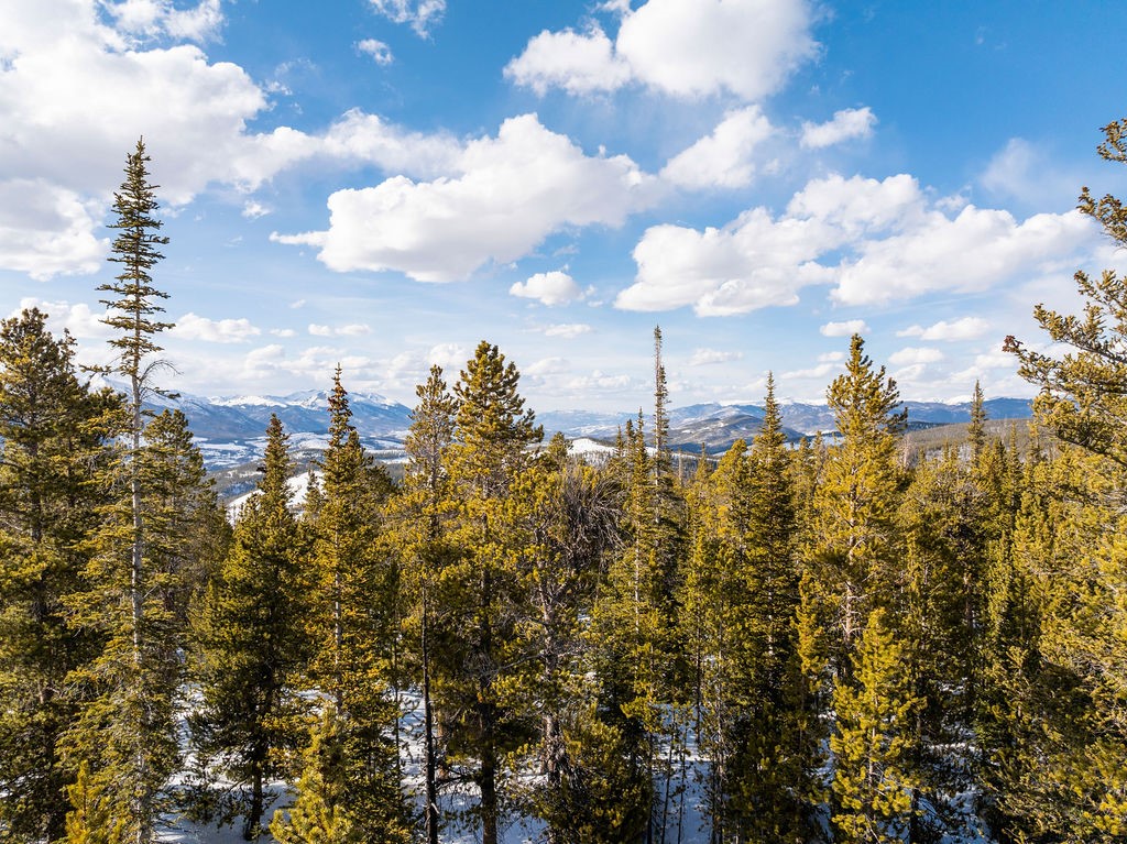 Homestead 17 Cumberland Drive Breckenridge CO 80424