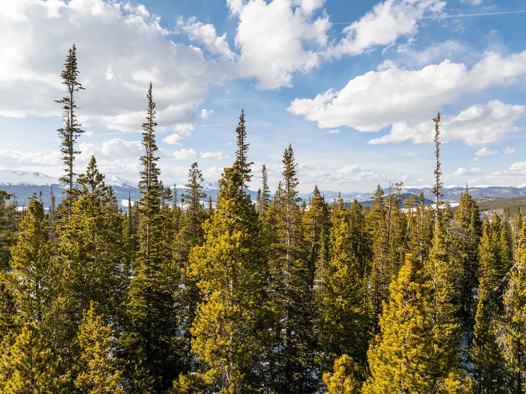 Homestead 17 Cumberland Drive Breckenridge CO 80424
