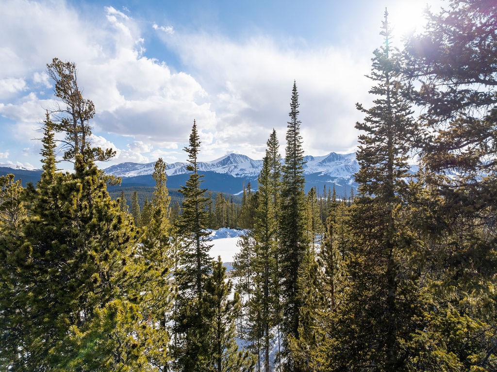 Homestead 17 Cumberland Drive Breckenridge CO 80424