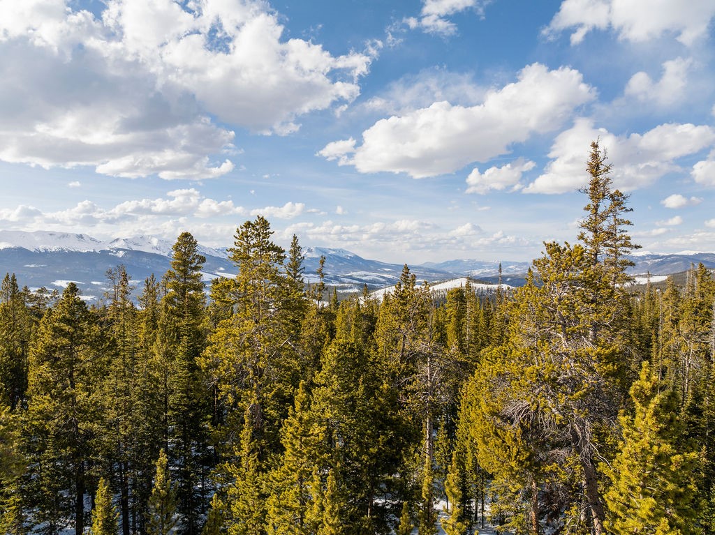 Homestead 17 Cumberland Drive Breckenridge CO 80424