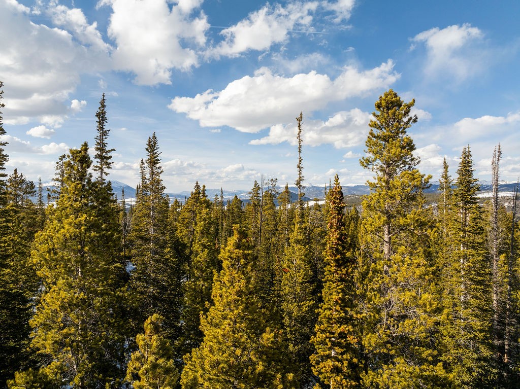 Homestead 17 Cumberland Drive Breckenridge CO 80424