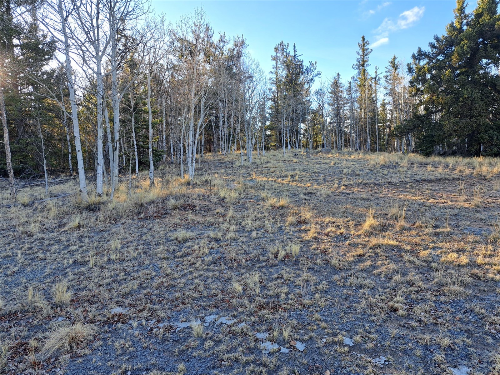 1645 Chippewa Road Como CO 80432