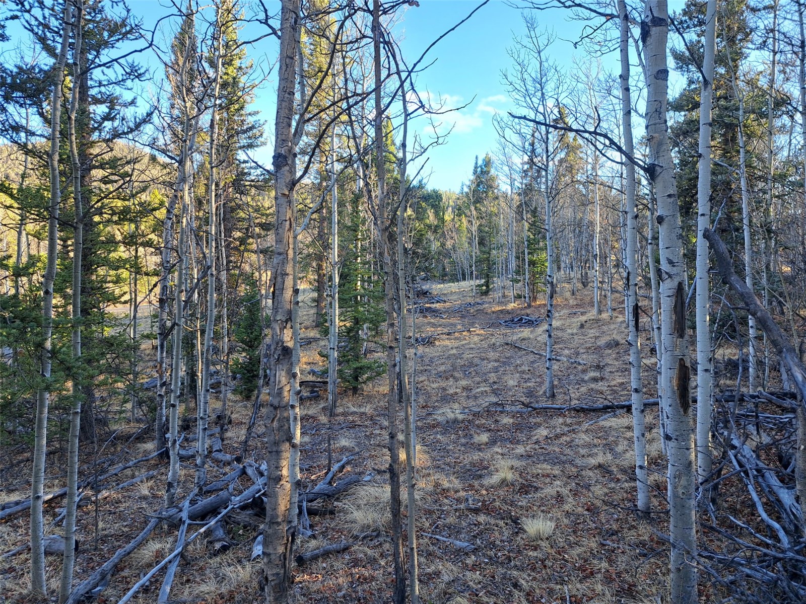 1645 Chippewa Road Como CO 80432
