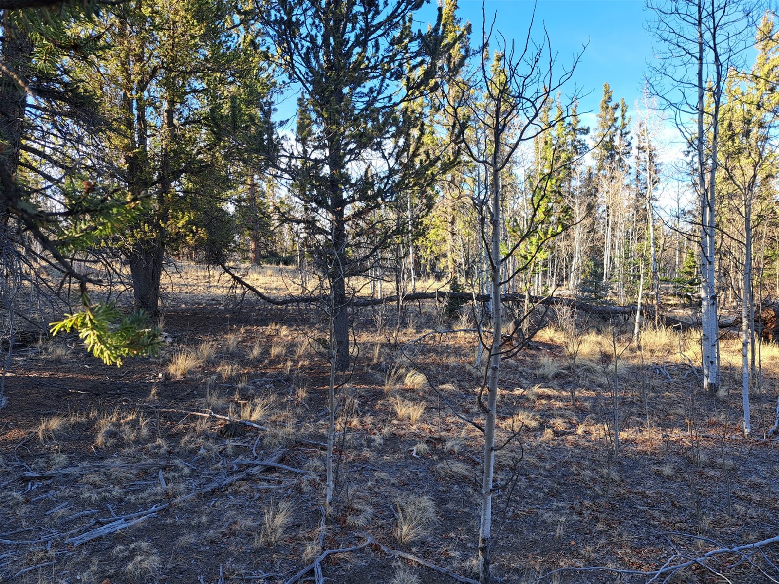 1645 Chippewa Road Como CO 80432