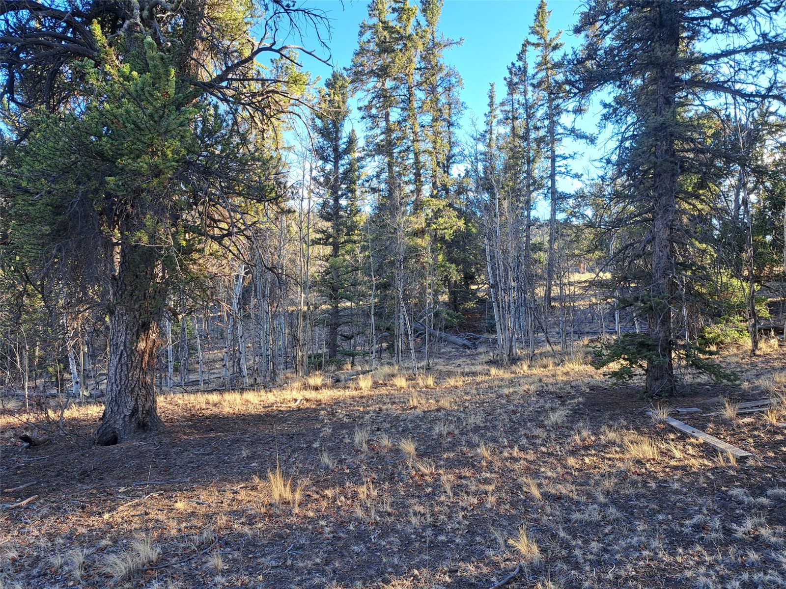 1645 Chippewa Road Como CO 80432