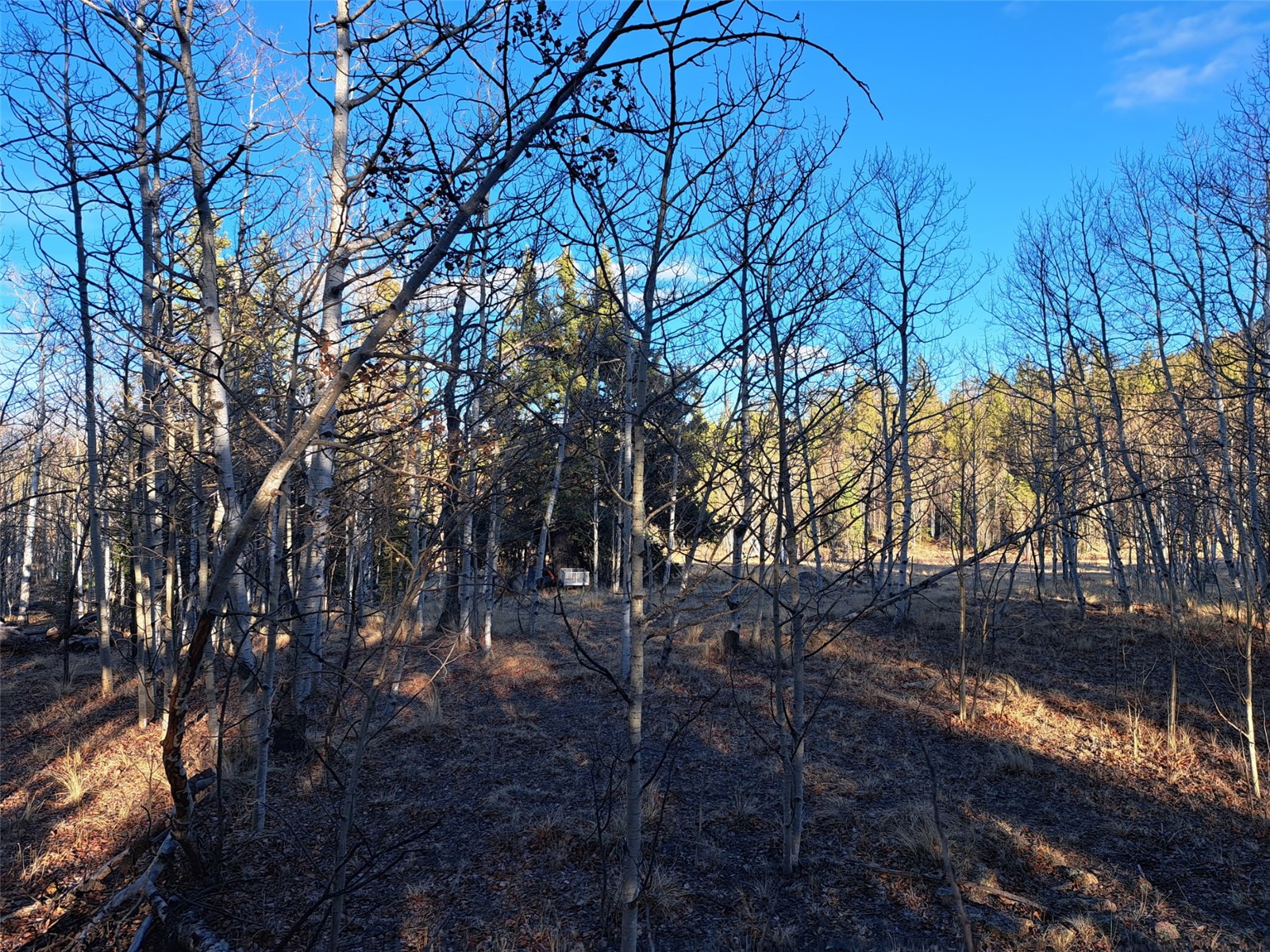 1645 Chippewa Road Como CO 80432