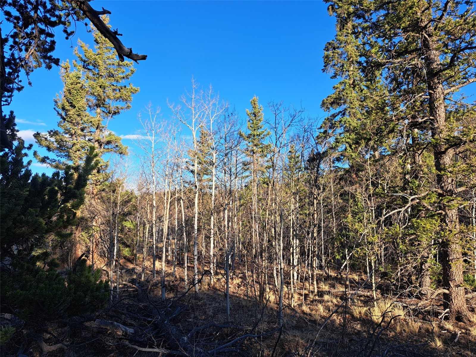 1645 Chippewa Road Como CO 80432