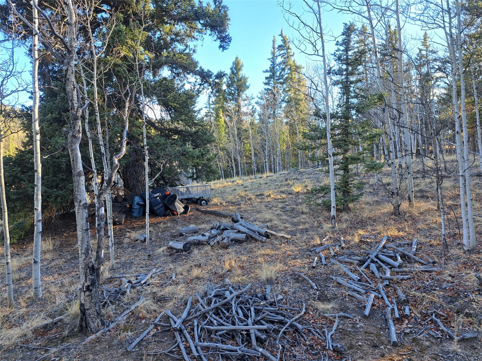 1645 Chippewa Road Como CO 80432