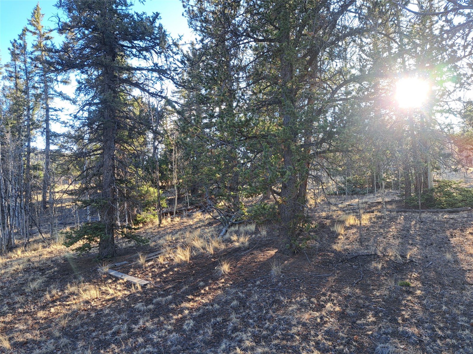 1645 Chippewa Road Como CO 80432