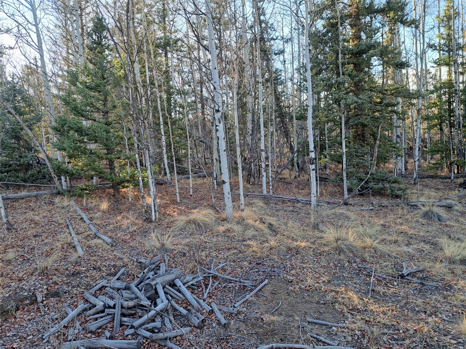 1645 Chippewa Road Como CO 80432