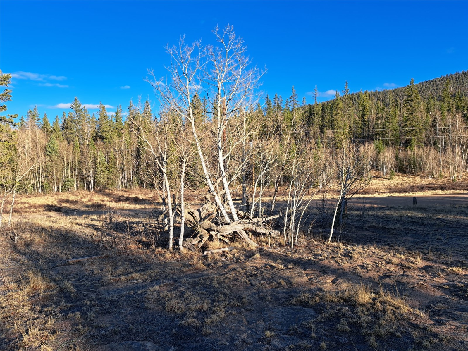 1645 Chippewa Road Como CO 80432