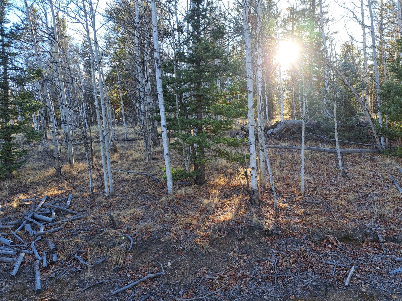 1645 Chippewa Road Como CO 80432