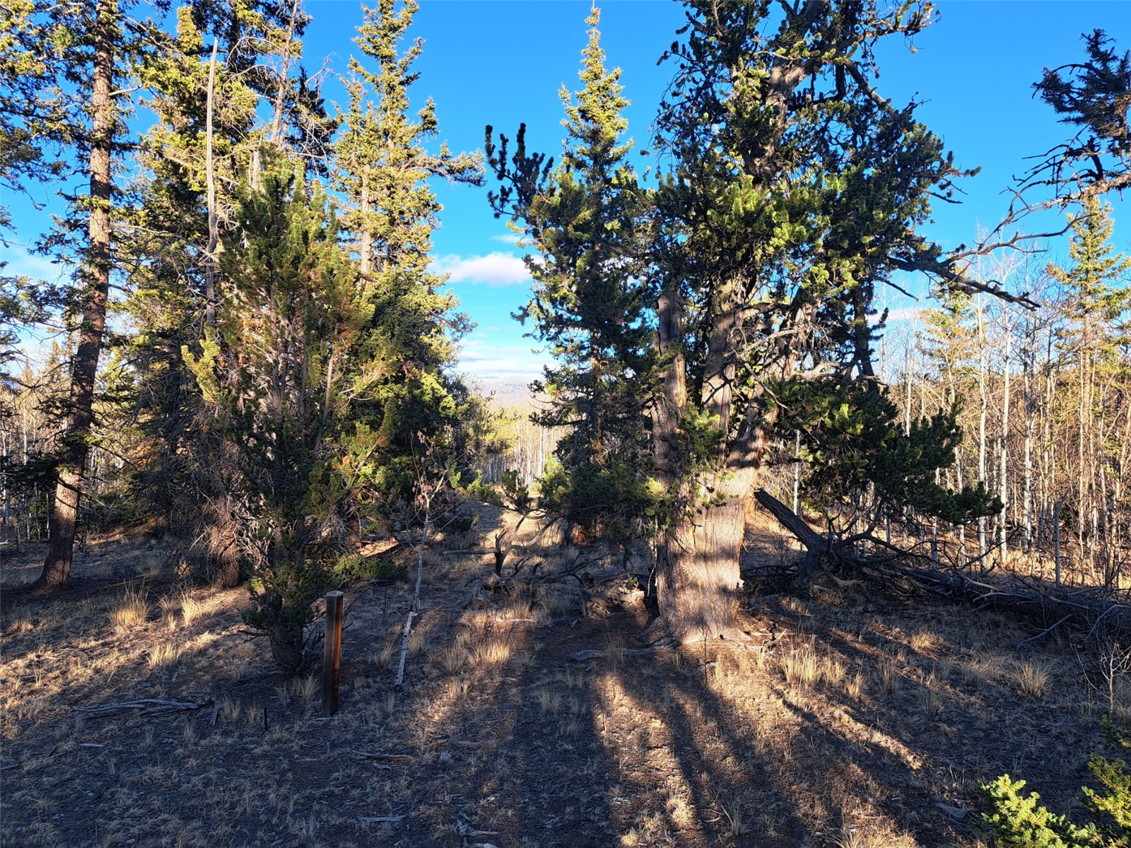 1645 Chippewa Road Como CO 80432