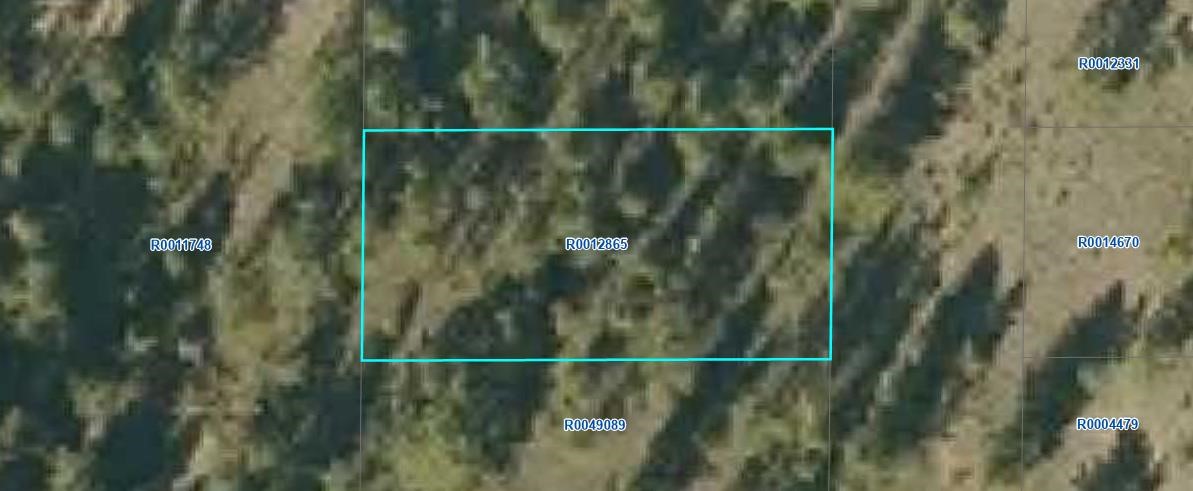 000 Buck Street Hartsel CO 80449
