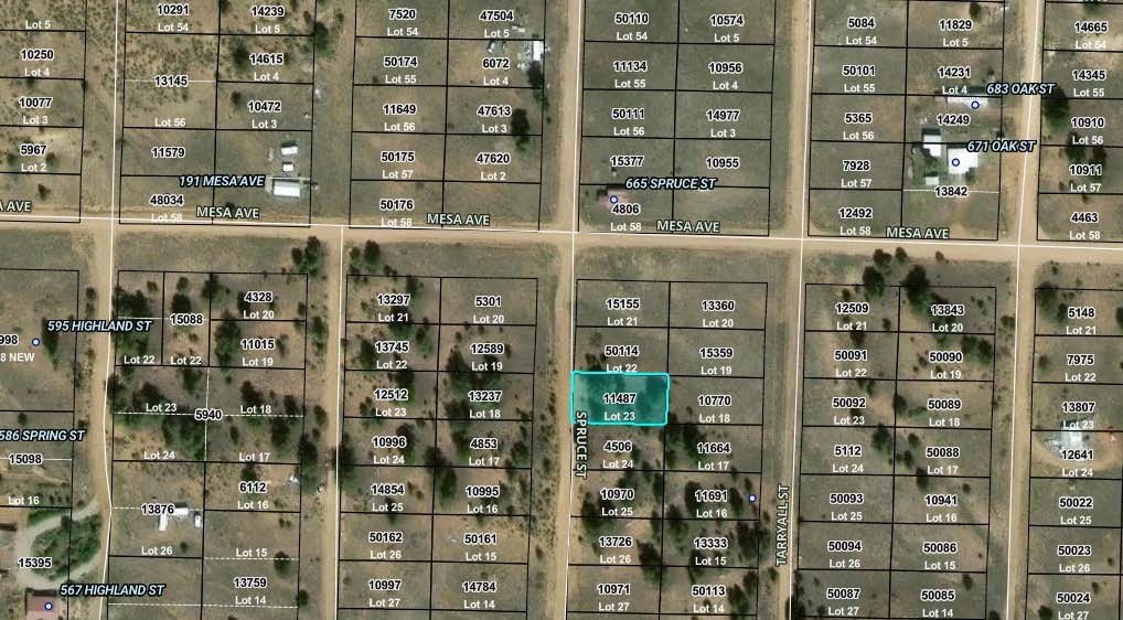 00 Spruce Street Hartsel CO 80449