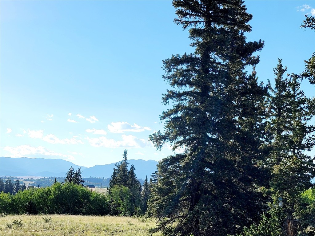 62 Shoshone Drive Como CO 80432