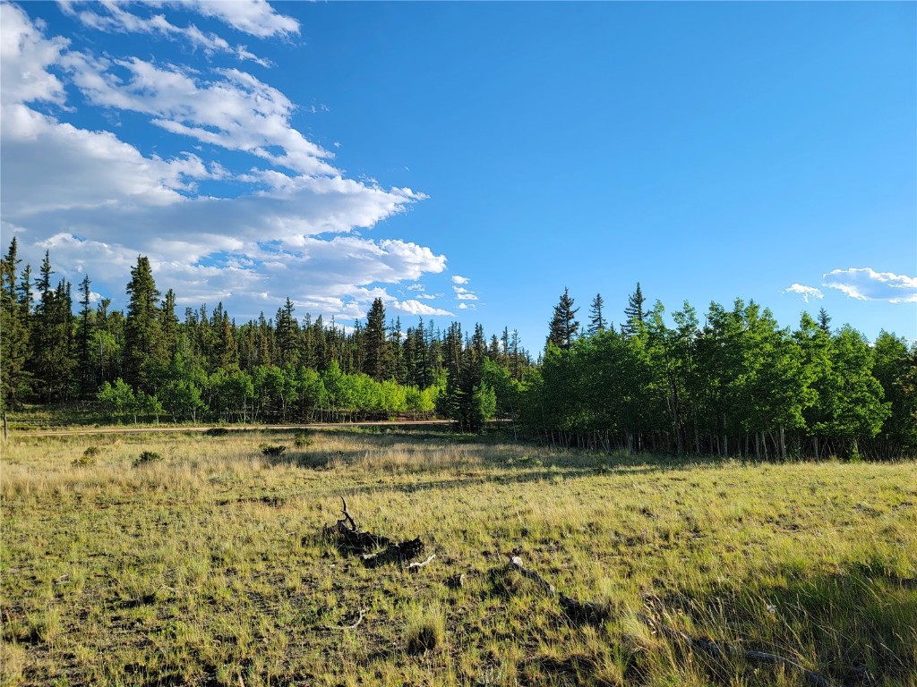 62 Shoshone Drive Como CO 80432